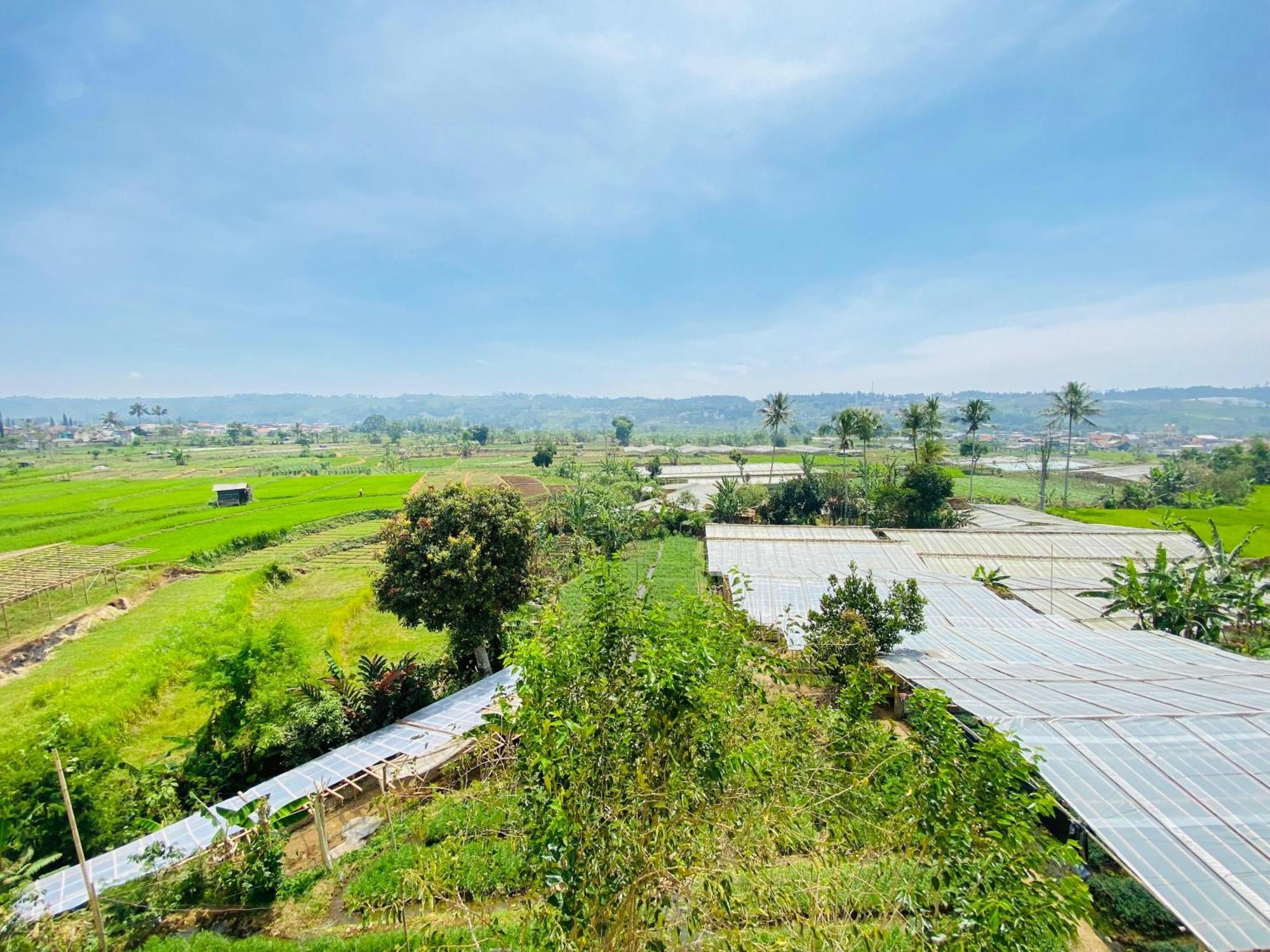 Villa Imperial Diamond Cibadak  Dış mekan fotoğraf